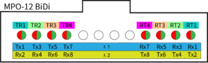 MPO-12 비디