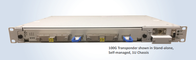 Transponder duplo 100G OTN