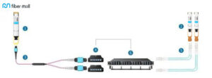 400 جرام DR8 QSFP-DD و 50G-SR QSFP28