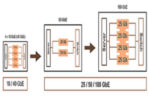 Technologie 25/50/100g