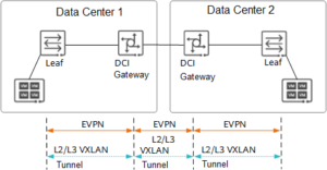 Segment VXLAN tunnel diagram