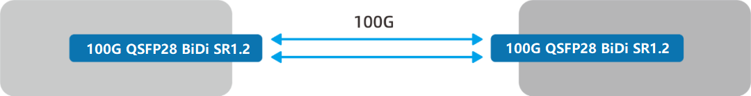 100G