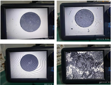 The effect of pin end face contamination on return loss