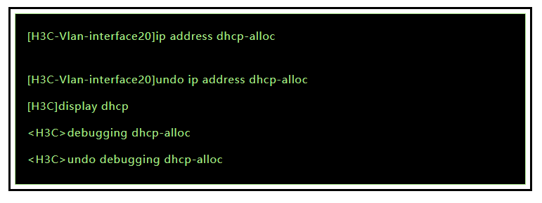 DHCP Client Configuration