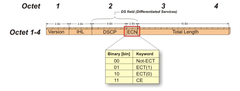 رسم تخطيطي لـ ECN