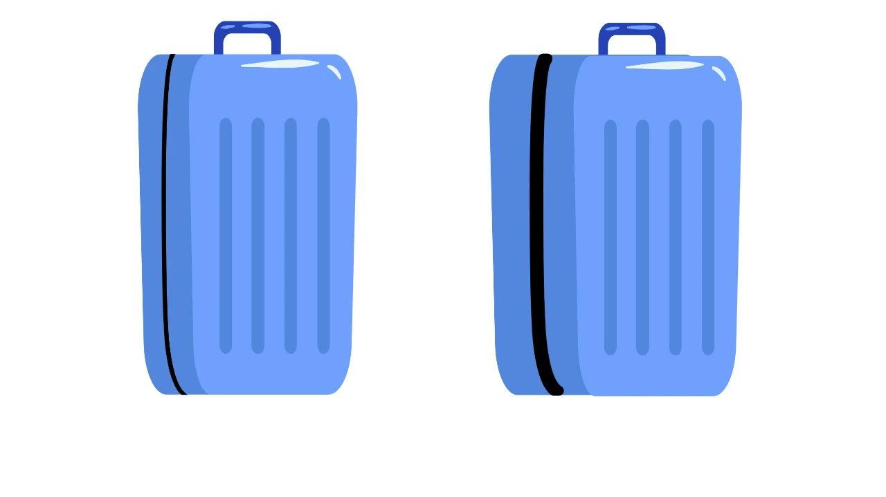 luggage