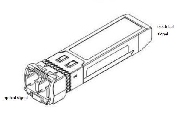 optical signal and electrical signal