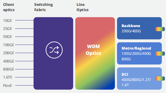 IPoWDMはそれを主張します offより高い柔軟性