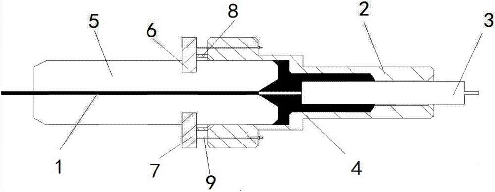 Strukturdiagramm der Ferrule