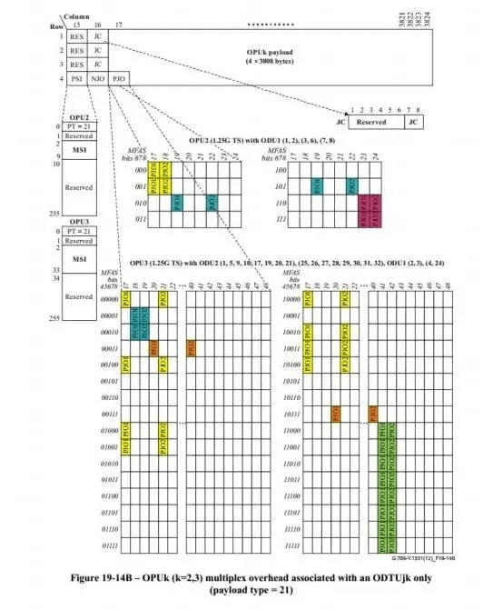 cada rama necesita usar el byte de sobrecarga de OPUk