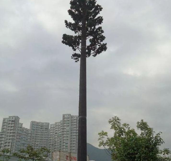 tree base station