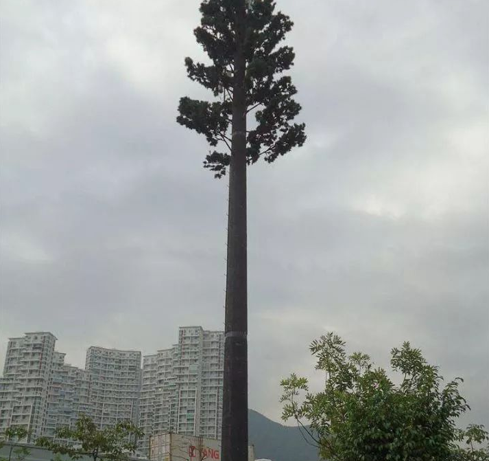 estación base del árbol