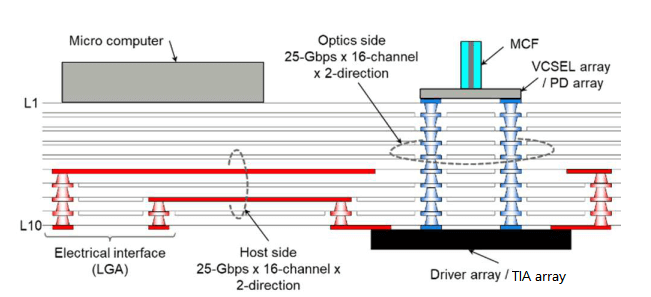 cross section