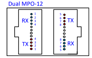 MPO-12 duplo