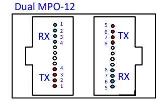 Doble MPO-12