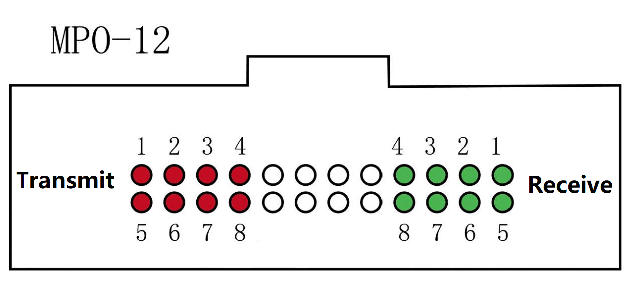 MPO-12