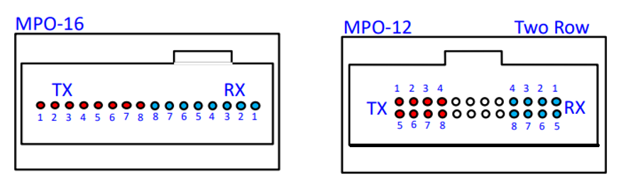 MPO-16 または MPO-12 XNUMX 列