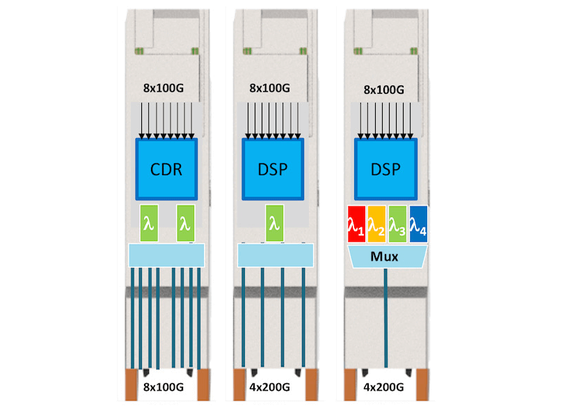 800G Optical Transceiver Market Analysis