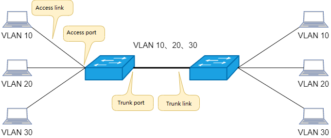 trunk link