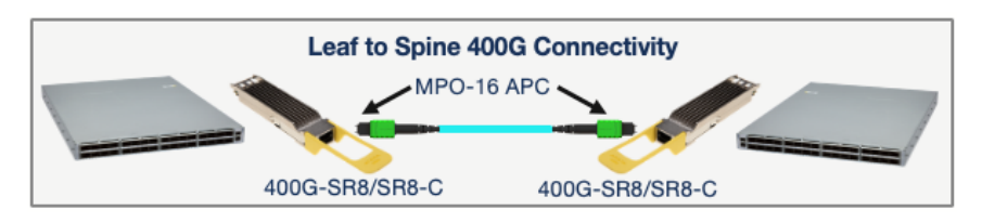 connectivité feuille à colonne vertébrale 400G