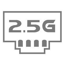 порт 2.5G