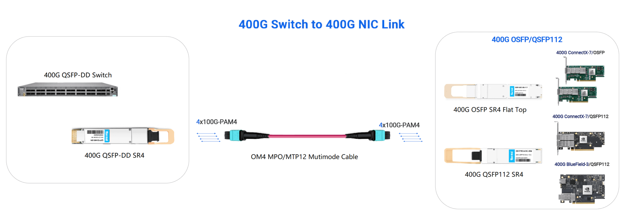 400G QSFP-DD スイッチを ConnectX-7 OSFP NIC に接続する方法