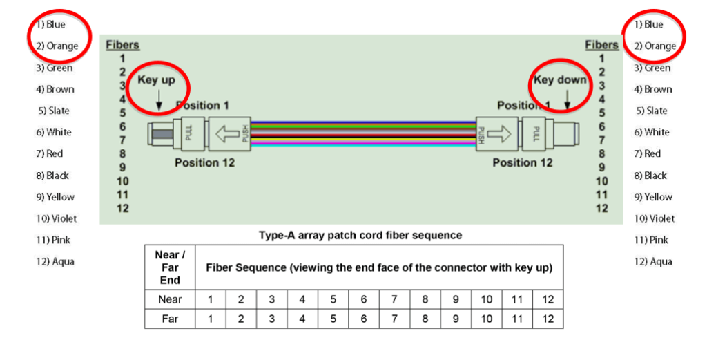 MPO-MPO Straight-Through-Kabel (Typ-A)