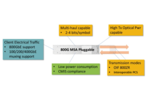 800g MSA