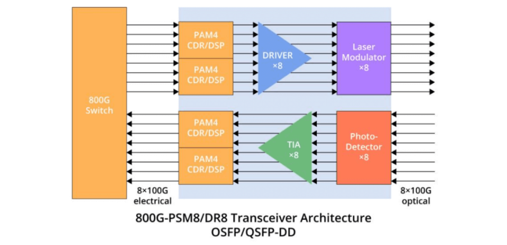 800G DR8, 800G 2xDR4 e 800G PSM8