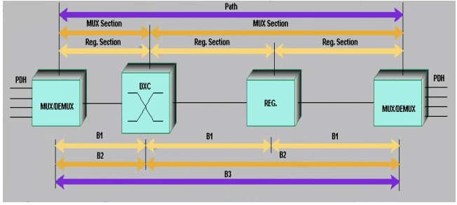 STM (Module de transport synchrone)