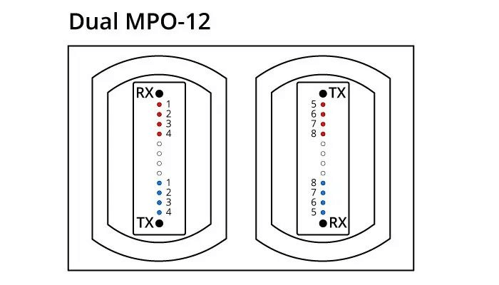 デュアル mpo-12