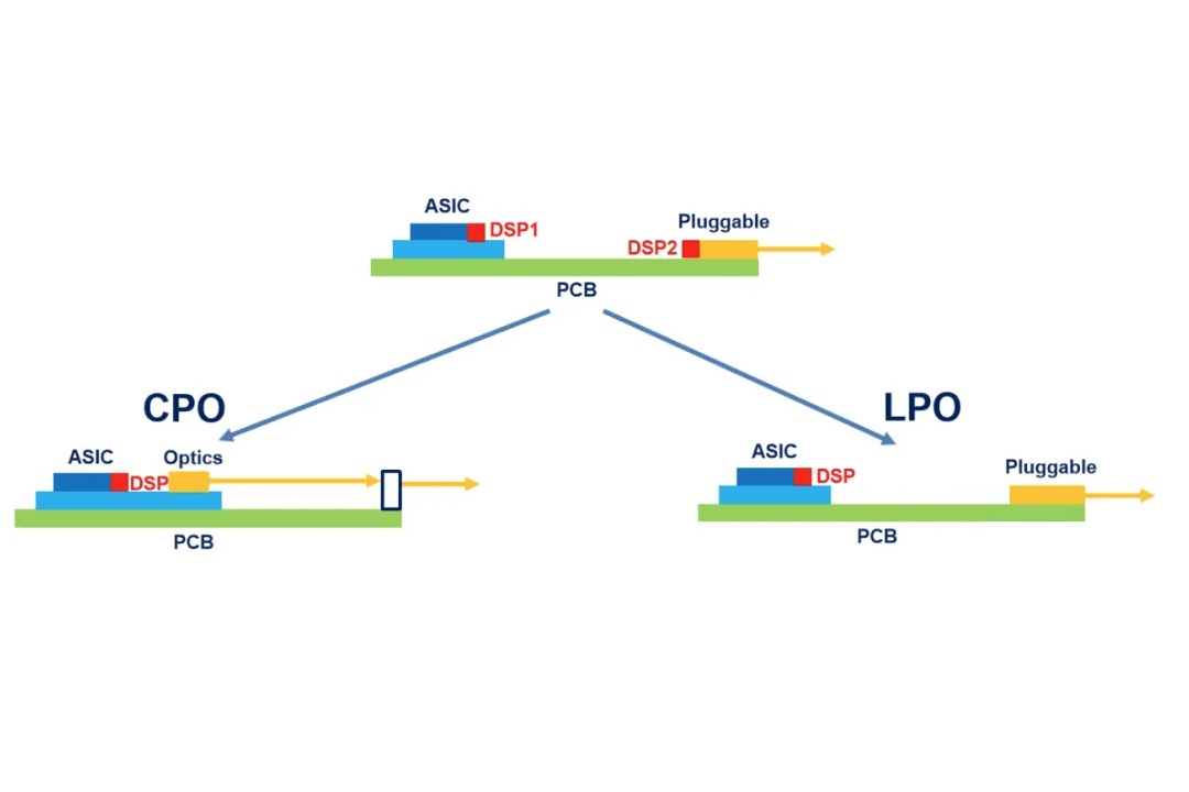 ما هي الاختلافات بين CPO وLPO