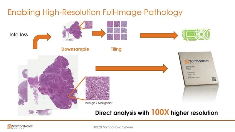 enabling high-resolution full-image pathology
