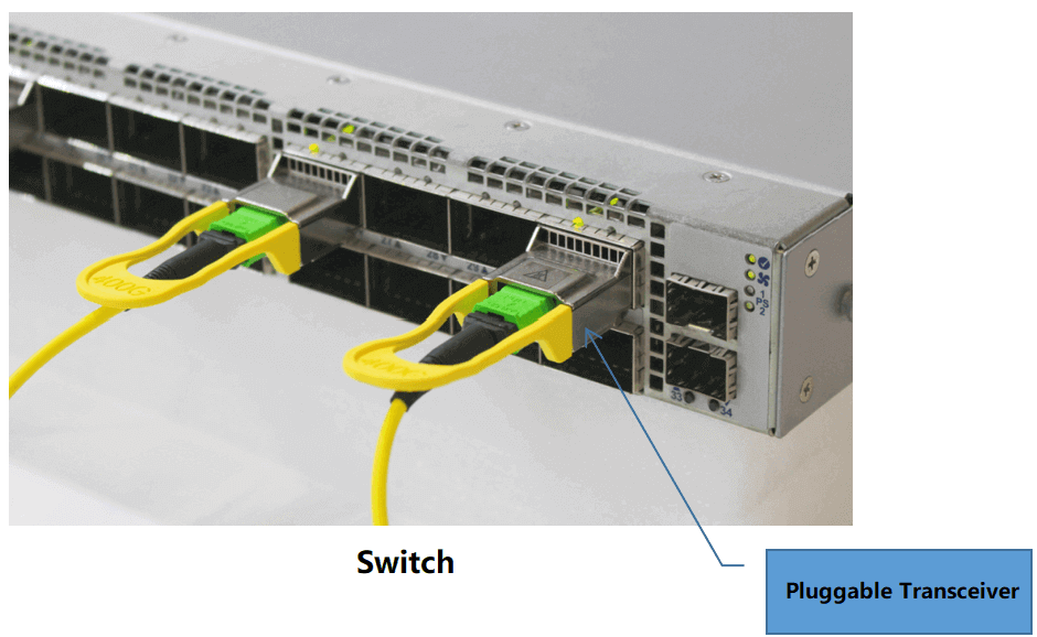 module in the switch