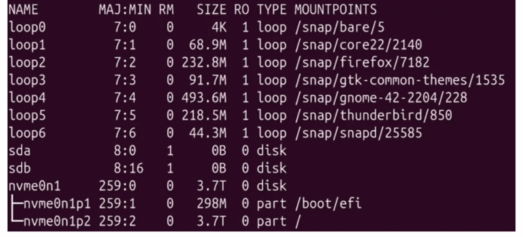 Run the lsblk command to view disk partitioning