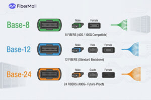MPO-8 vs MPO-12 vs MPO-24