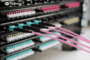 mpo cabling