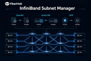 InfiniBand subnet