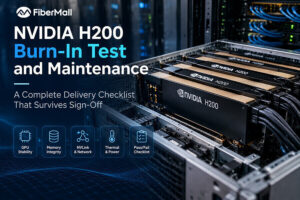 NVIDIA H200 Burn-In Test