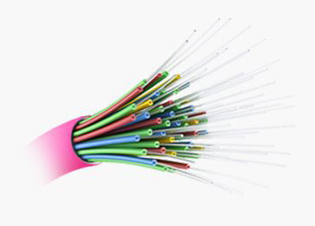 12 Fibers Low IL OS2 MPO Trunk Cable LSZH 5m | FiberMall