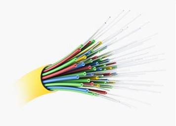 12 Fibers Low IL OS2 MPO Trunk Cable LSZH 5m | FiberMall