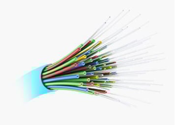 12 Fibers Low IL OS2 MPO Trunk Cable LSZH 5m | FiberMall