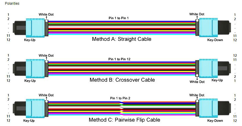 12 Fibers Low IL OS2 MPO Trunk Cable LSZH 5m | FiberMall
