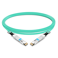 QSFP-DD-200G-AOC-10M 10m (33ft) 200G QSFP-DD to QSFP-DD Active Optical Cable