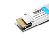 QSFP-DD-100G-DCO 100G 코히런트 QSFP-DD DCO C 대역 조정 가능 광 트랜시버 모듈