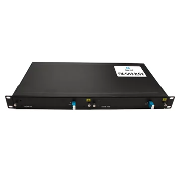 19" 1U Rack Unloaded Chassis with 2 Slots for Plug-in LGX Box