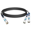 QDD-2QSFP28-200G-PC50CM 50cm(1.6피트) 200G QSFP-DD ~ 2x100G QSFP28 NRZ 패시브 브레이크아웃 직접 연결 구리 케이블