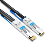 QDD-2QSFP28-200G-PC50CM 50cm (1.6 pés) 200G QSFP-DD a 2x100G QSFP28 NRZ Cabo de cobre de conexão direta com quebra passiva