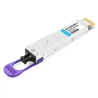 QSFP-DD-200G-CWDM4-10 2X100G QSFP-DD CWDM4 10km デュアル CS SMF 光トランシーバー モジュール