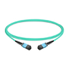 1m (3ft) 16 Fibers Female to Female MPO Trunk Cable Polarity B LSZH OM4 50/125 Multimode Fiber APC